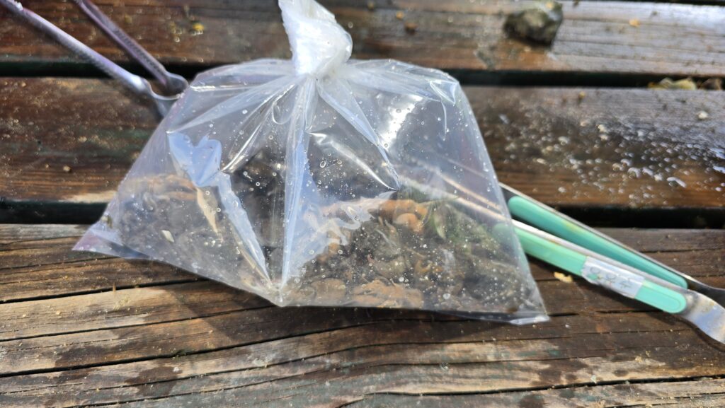 남해 갯벌체험 꽃내갯벌체험장 쏙 꽃게 포장